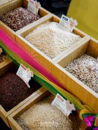 ข้าว-สาร-เสก นิทรรศการที่จะเปลี่ยนมุมมองเรื่องข้าว