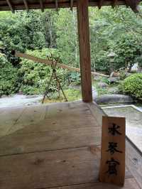 【神奈川県　鎌倉市の浄妙寺で耳を澄まし鳥のお喋りと水の音色を受け取る】 