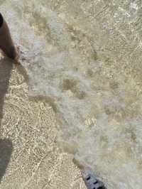 Semporna: A Paradise for Nature Lovers