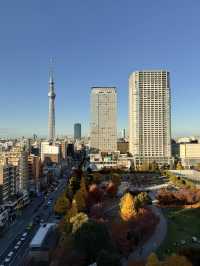 高空中觀賞晴空塔！樂天熊仔餅酒店！#東京酒店