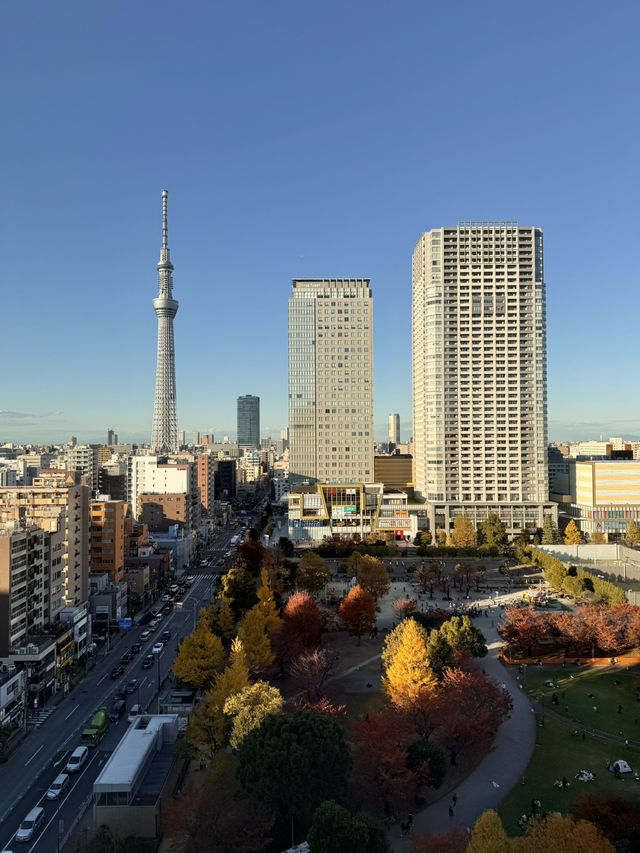 高空中觀賞晴空塔！樂天熊仔餅酒店！#東京酒店