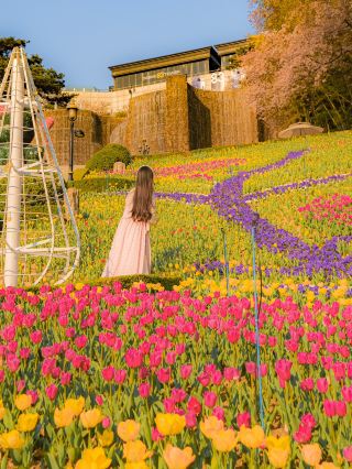 봄에 튤립 보고 싶다면 여기 추천해요 🌷