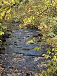 Ingleton Waterfalls Trail