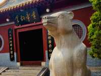 Discover the Roots of Chinese History