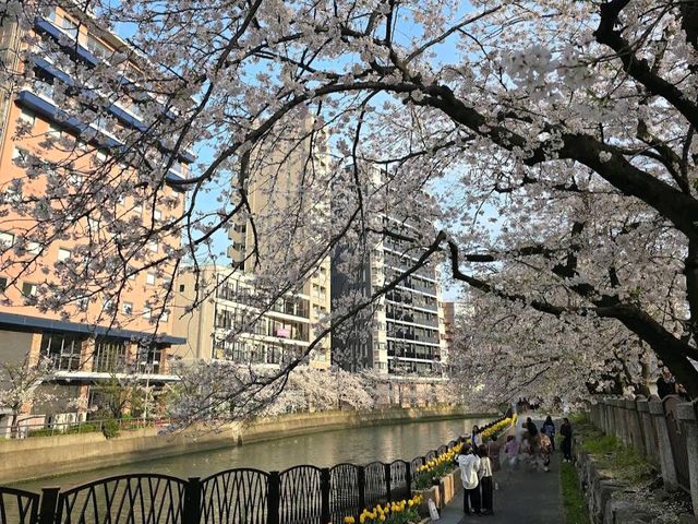 Tenjin Central Park (天神中央公園)