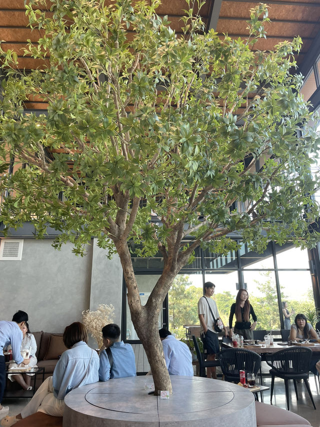 คาเฟ่วิวเขา นครนายก 🌳🏔️