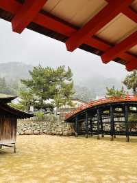 ⛩️ ✅厳島神社（Itsukushima Shrine）攻略ガイド 🦌