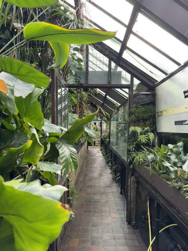 Glasgow Botanic Gardens: A Green Oasis in the City