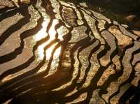 Yuan Yang Terraces Fields