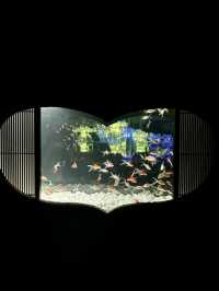 流光水境：藝術水族館的夢幻之旅