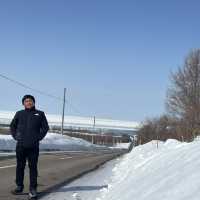 7 Days in Sapporo