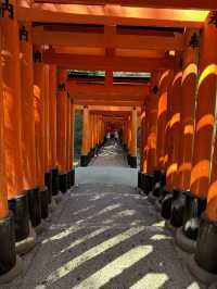 The magical gates of spirit 
