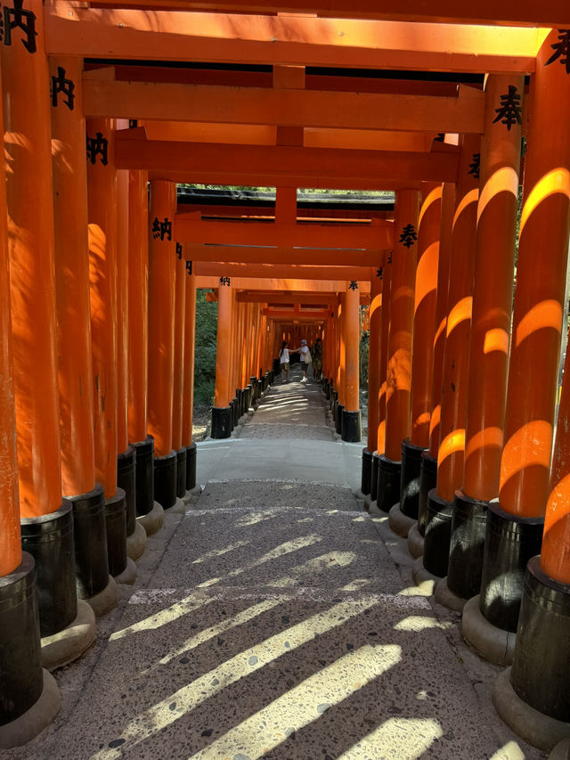 The magical gates of spirit 