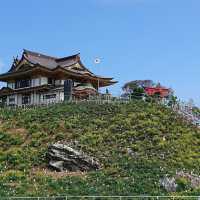 Chasing Sakura at Kabushima Island