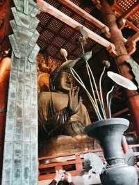 Tōdai-ji Temple: The Majestic Heart of Nara