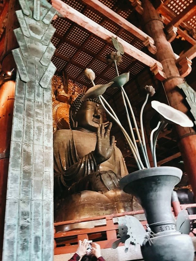 Tōdai-ji Temple: The Majestic Heart of Nara