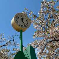  吉原兒童公園~色彩斑斕的童年