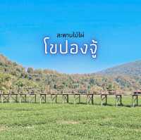 สะพานไม้ไผ่โขปองจู้