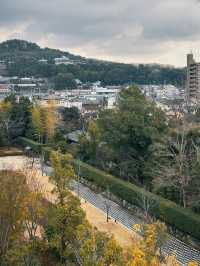 犬山🇯🇵性價比最高的英迪格！送國寶級茶室門票🎟️