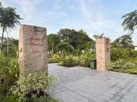 Wandering Through Stillness: A Solo Day at the Chinese and Japanese Gardens in Singapore