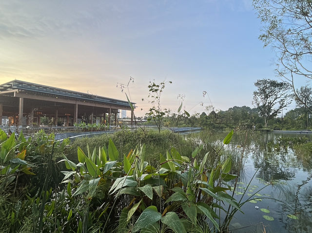 Wandering Through Stillness: A Solo Day at the Chinese and Japanese Gardens in Singapore