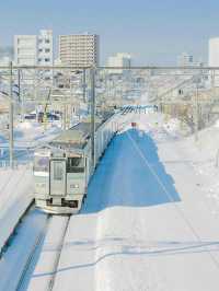 もし一生に一度だけ北海道に行けるなら…❄️私のおすすめはこれ！