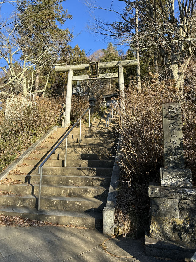 搭天上山公園纜車🚡鳥瞰河口湖嘆絕景富士山🗻