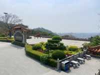 感受大自然的魅力⛰️✨鳳凰山森林公園🧗 