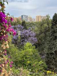 🇪🇸 Blooming Park in Malaga