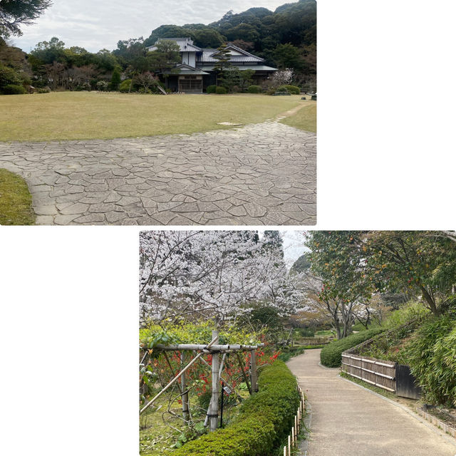 【山口県下関市🇯🇵長府庭園】歴史に触れながら庭園散歩☺️
