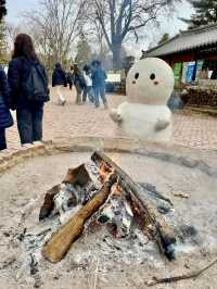 From Palaces to Alpacas: A Whirlwind Seoul Adventure