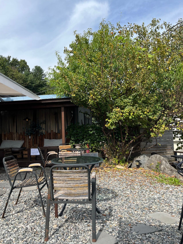 🌻🪻충주 충주댐이 보이는 한옥카페 구옥,날다