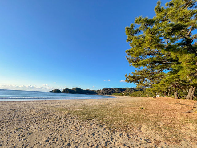 【伊豆の絶景】弓ヶ浜ビーチで心をほどくひととき