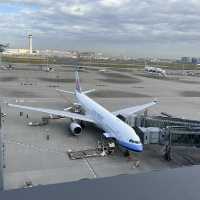 【羽田空港で食べたい！おすすめグルメ3選】