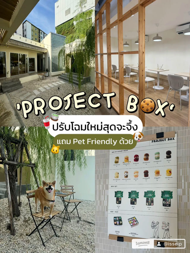 แนะนำคาเฟ่ ‘PROJECT BOX‘ บรรยากาศดี 🌿🍪