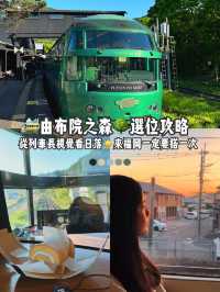  由布院之森座位攻略🚞🌳 列車長視覺看日落🌄 神級景觀位！