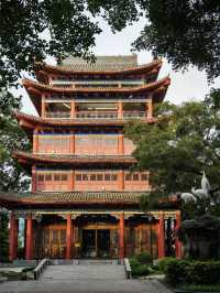 Wuzhou: A Hidden Gem in Guangxi – Exploring the "Pearl of the Sea" 🌿🏙️ 
