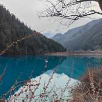 Sapphire Reflections of the icy mountain: The Enchanting Tiger Lake and Five Flower Lake