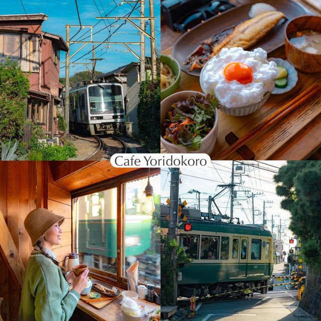 พิกัดเที่ยว Kamakura .. เมืองสุดน่ารักใกล้โตเกียว 