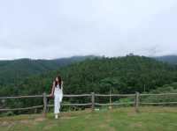 ชมวิวเมืองปาย สัมผัสทะเลหมอกหยุนไหล 🌿
