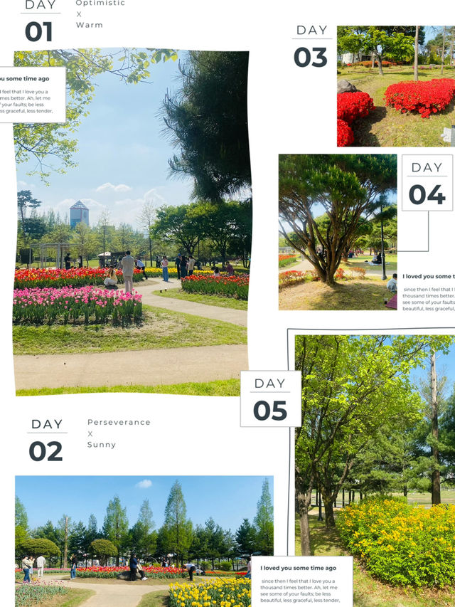 Yurim Park's Tulip Tapestry: An April Day's Delight 🌷☀️