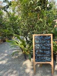 Breakfast spots in Chiang Rai