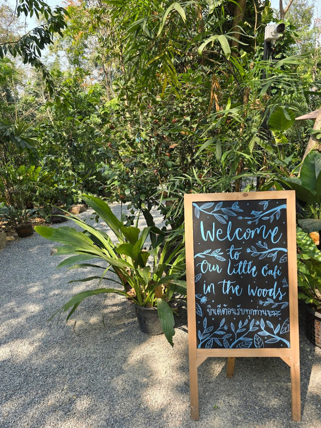 Breakfast spots in Chiang Rai