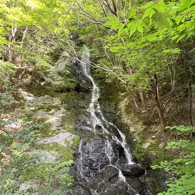 🌲【木梶山】⛰️ まつさかイレブン