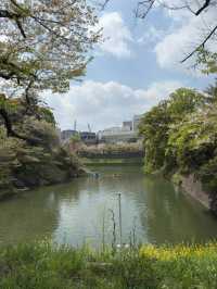 東京｜北之丸公園與東京中城一日遊