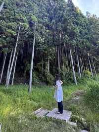 【奈良】穴場自然スポット！龍王ヶ渕🌳