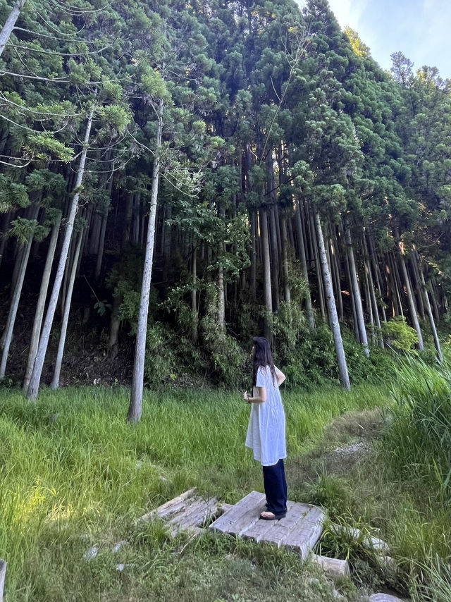 【奈良】穴場自然スポット！龍王ヶ渕🌳