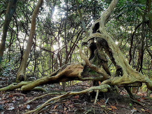 Bukit Segenting Lighthouse – A Solo Traveller’s Perspective