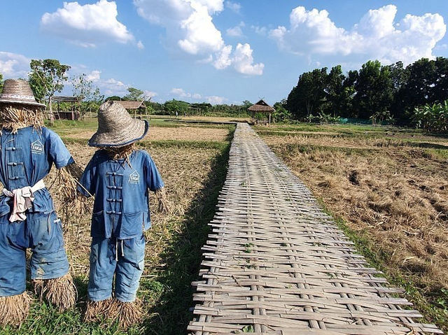 Exploring Bentong Ginger Farm: Pahang’s Spicy Agri-Tourism Gem