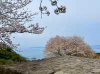 漫遊四國香川縣瀬戶內海紫雲出山賞櫻🌸